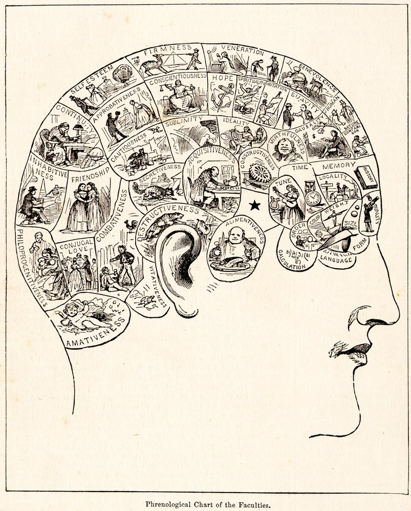 A 19th-century phrenology head diagram showing labeled regions of the skull.